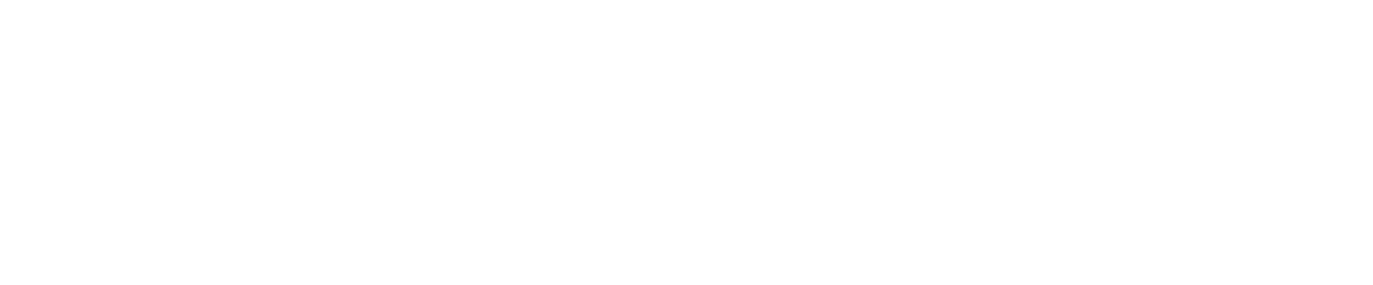 Unitrans Visa Solutions